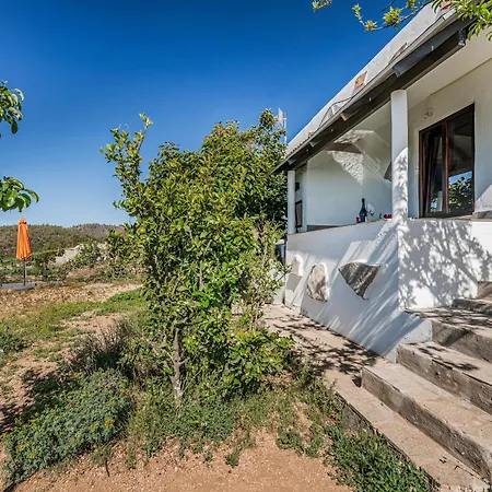 Land Of Dreams Hébergement de vacances Vilaflor